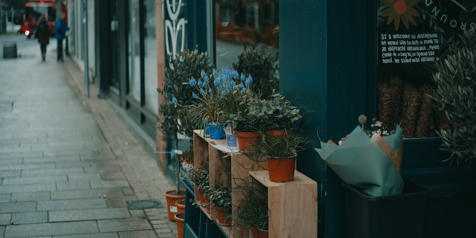 A row of potted flowers arranged on wooden shelves outside a shop along a city sidewalk. The plants include blue, white, and green foliage, with some flowering species. The pots are made of terracotta