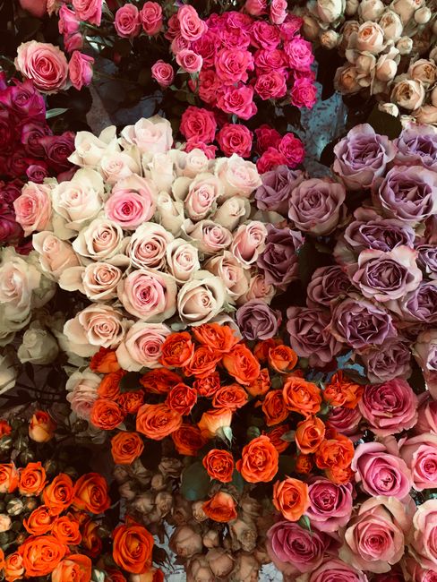 A vibrant display of various fresh roses arranged in dense bouquets, featuring shades of pink, purple, white, and orange. The roses have full, blooming petals with a soft, velvety texture, and are tig