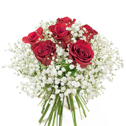 Amidst the tranquil charm of Malden Rushett, this striking bouquet captures a narrative of classic romance and thoughtful artistry. Six lush red roses rise at the heart of the arrangement, their velvety petals unfurling in lavish, overlapping spirals, casting a glow reminiscent of fiery sunsets over Rushett Woods. Each rose is enveloped in an expansive halo of baby's breath-delicate gypsophila blossoms scattered like tiny frost on a winter's morning, adding both texture and contrast. The interplay of rich crimson against the gentle, cloudlike white forms a harmonious balance that invites the senses to linger. Glistening with freshness, the long green stems are carefully aligned and hand-tied, signifying expert attention to every detail. The bouquet's composition radiates both elegance and an inviting warmth, as if freshly gathered from a countryside morning stroll through Malden Rushett, where floral scents carry on the breeze. This arrangement is more than its bold color palette; it is a symbol of affection that fits both intimate celebrations-a quiet anniversary dinner or a heartfelt gesture just because-and grander moments shared with family and friends in the village. The image's soft lighting and crisp background highlight the bouquet's depth and lushness, making it an enduring tribute to love, appreciation, and the joy of special occasions-all with the unmistakable touch of local Malden Rushett florists.